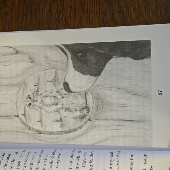 The Spaniel Family's Time Capsule Mystery Chapter Book For Ages 8-11 NWOT - Picture 4 of 11